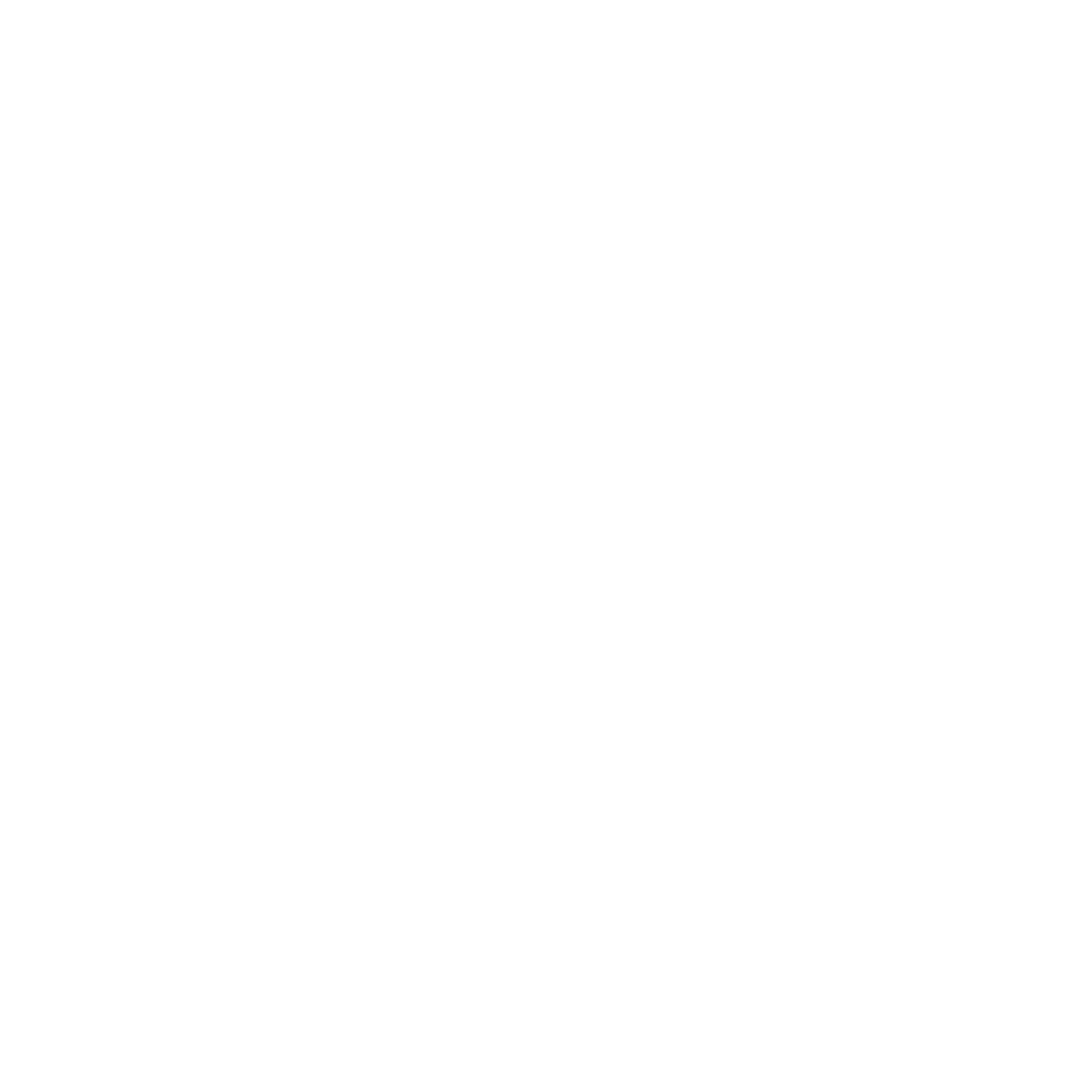 Art Clay Silver Schweiz - SILVERSTAR by Pius - Metalclay - Silberschmuckkurse - Brennöfen - der Schweizer Onlineshop - mit über 1000 Produkte online